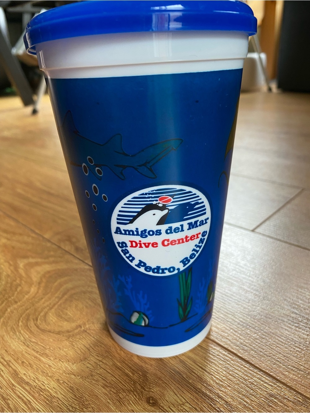 Blue Travel Cup Belize, ocean theme